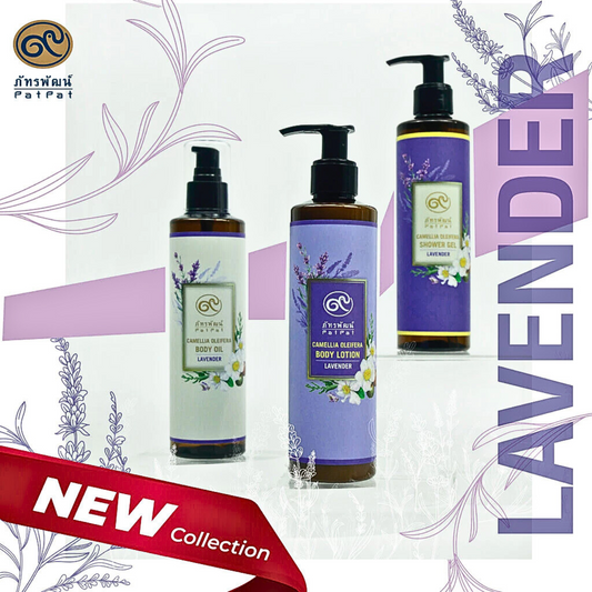Body oil, camellia seed oil, lavender scent/Body oil