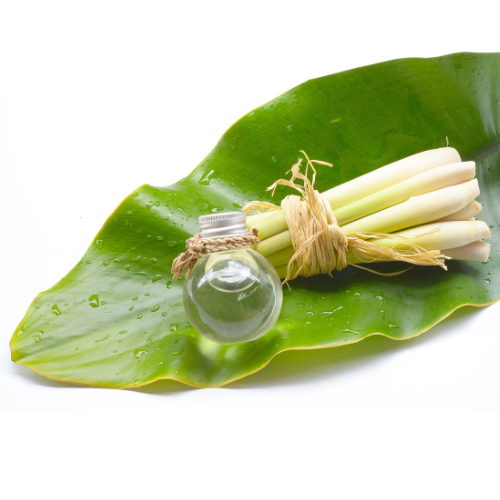 Lemongrass Spa Massage Oil has a unique refreshing scent that gives a feeling of freshness and clarity. Size 90 ml. Extracted from almond oil and 9 types of natural oils.